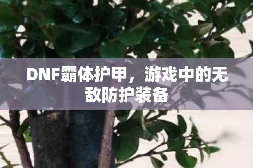 DNF霸体护甲，游戏中的无敌防护装备