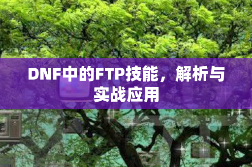DNF中的FTP技能，解析与实战应用