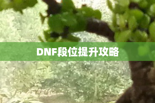 DNF段位提升攻略 DNF段位提升攻略