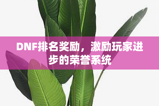 DNF排名奖励，激励玩家进步的荣誉系统