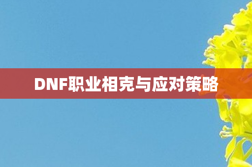DNF职业相克与应对策略