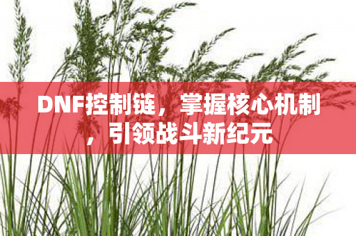 DNF控制链，掌握核心机制，引领战斗新纪元