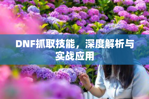 DNF抓取技能，深度解析与实战应用
