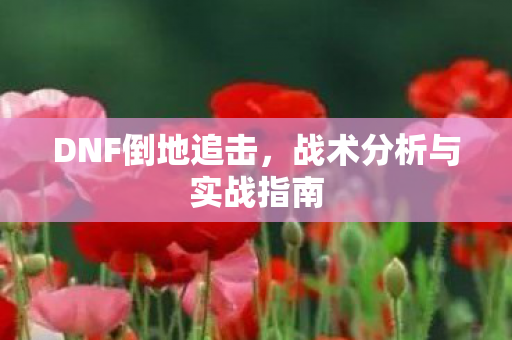 DNF倒地追击，战术分析与实战指南