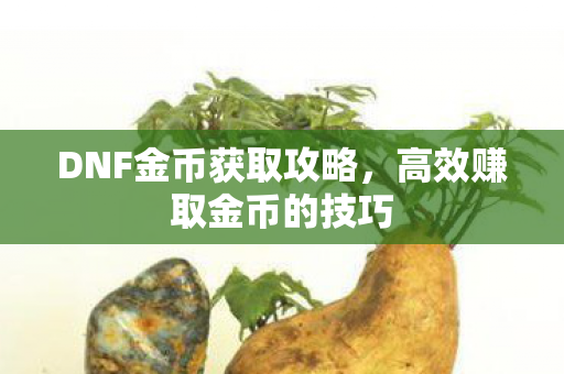 DNF金币获取攻略，高效赚取金币的技巧