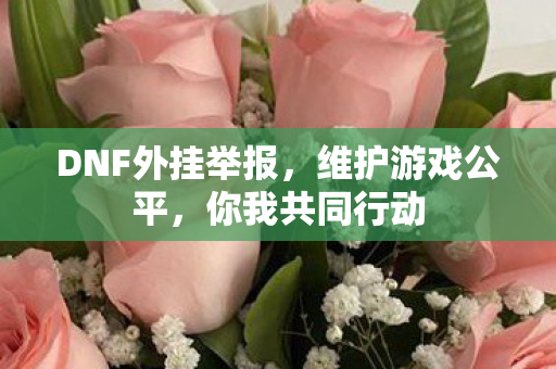 DNF外挂举报，维护游戏公平，你我共同行动