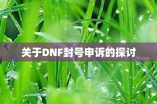 关于DNF封号申诉的探讨