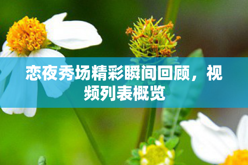 恋夜秀场精彩瞬间回顾，视频列表概览