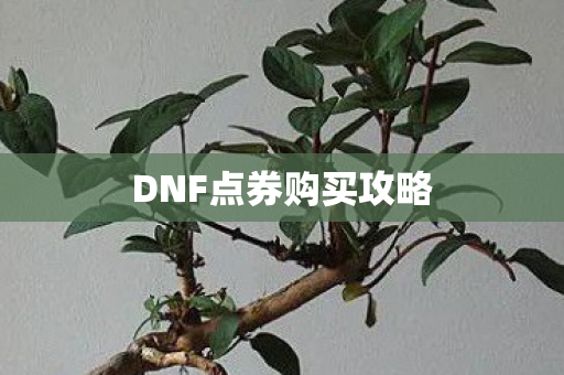 DNF点券购买攻略 DNF点券购买攻略