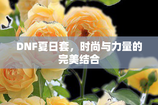 DNF夏日套，时尚与力量的完美结合