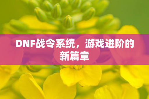 DNF战令系统，游戏进阶的新篇章