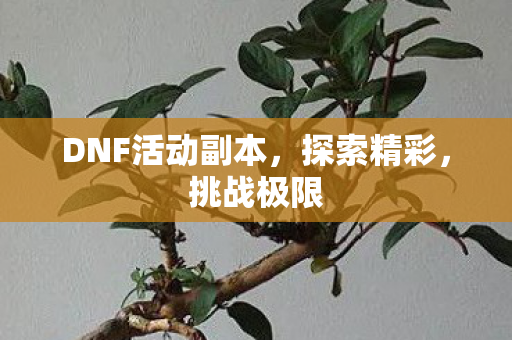 DNF活动副本,探索精彩,挑战极限 DNF活动副本,探索精彩,挑战极限