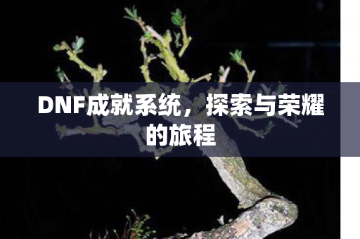 DNF成就系统，探索与荣耀的旅程