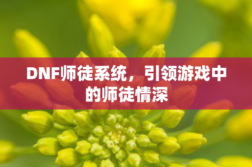 DNF师徒系统,引领游戏中的师徒情深 DNF师徒系统,引领游戏中的师徒情深