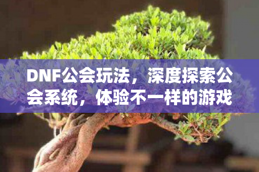 DNF公会玩法，深度探索公会系统，体验不一样的游戏乐趣