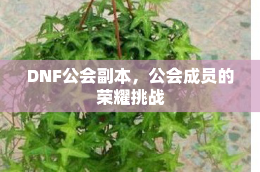 DNF公会副本,公会成员的荣耀挑战 DNF公会副本,公会成员的荣耀挑战