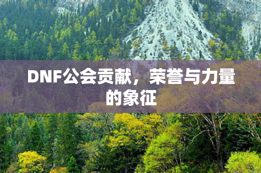 DNF公会贡献，荣誉与力量的象征