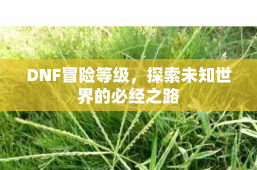 DNF冒险等级，探索未知世界的必经之路