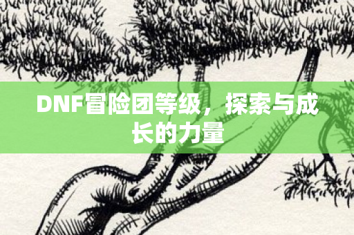 DNF冒险团等级，探索与成长的力量