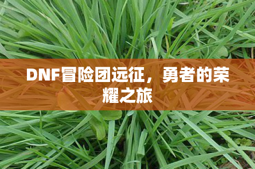 DNF冒险团远征，勇者的荣耀之旅