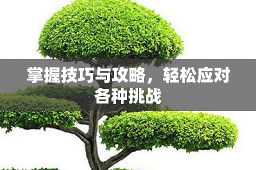 掌握技巧与攻略，轻松应对各种挑战