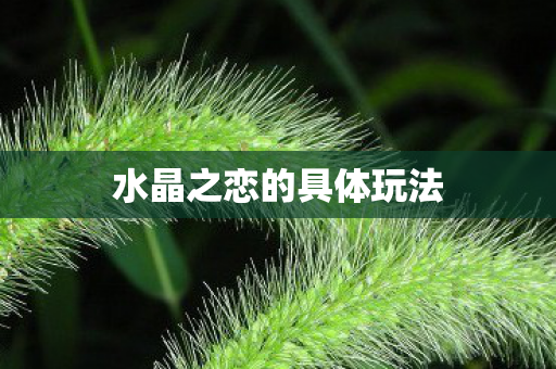 水晶之恋的具体玩法