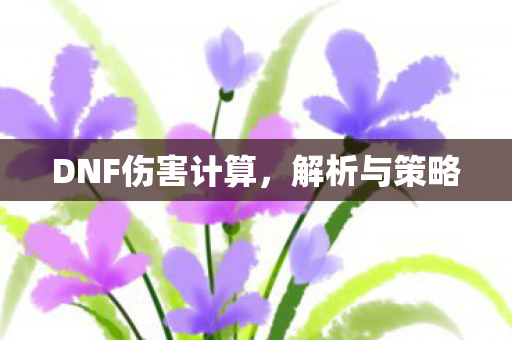 DNF伤害计算,解析与策略 DNF伤害计算,解析与策略
