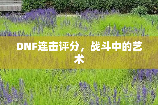 DNF连击评分，战斗中的艺术
