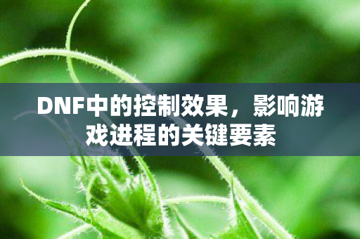 DNF中的控制效果，影响游戏进程的关键要素