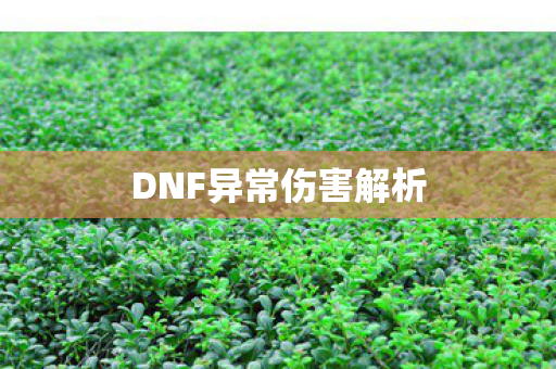 DNF异常伤害解析
