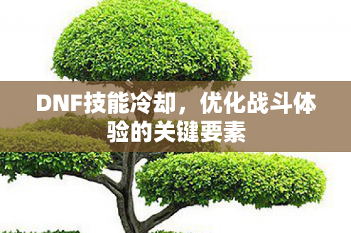 DNF技能冷却，优化战斗体验的关键要素