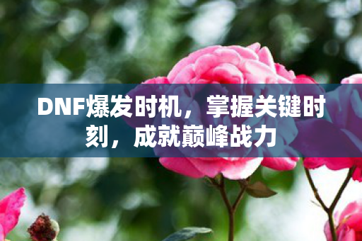 DNF爆发时机，掌握关键时刻，成就巅峰战力