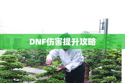 DNF伤害提升攻略