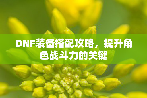 DNF装备搭配攻略，提升角色战斗力的关键