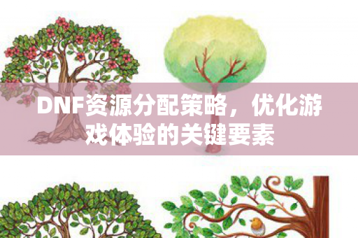 DNF资源分配策略，优化游戏体验的关键要素