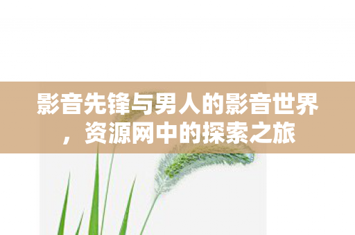 影音先锋与男人的影音世界，资源网中的探索之旅