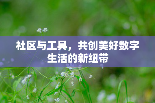 社区与工具，共创美好数字生活的新纽带