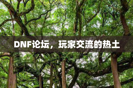 DNF论坛,玩家交流的热土 DNF论坛,玩家交流的热土