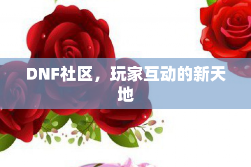 DNF社区，玩家互动的新天地