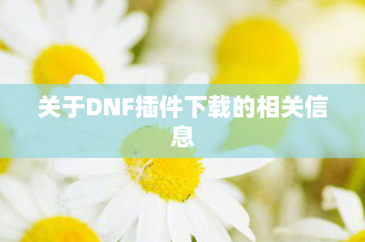 关于DNF插件下载的相关信息
