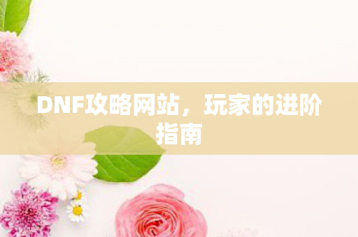 DNF攻略网站，玩家的进阶指南