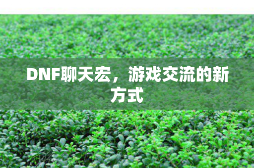 DNF聊天宏，游戏交流的新方式
