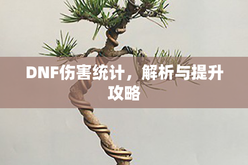 DNF伤害统计，解析与提升攻略