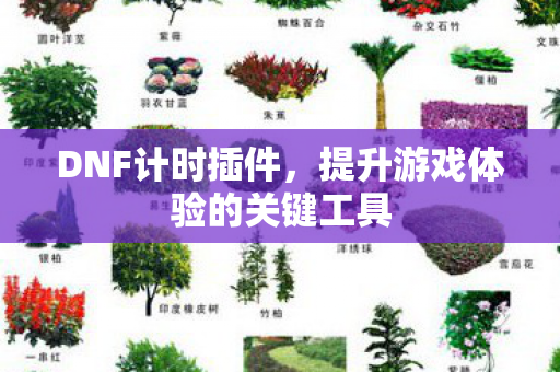 DNF计时插件，提升游戏体验的关键工具