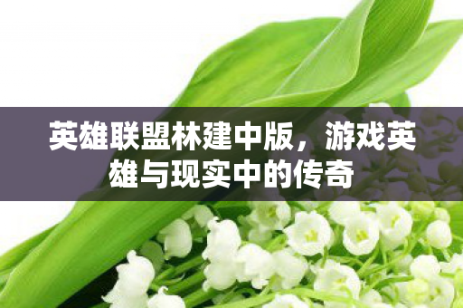 英雄联盟林建中版，游戏英雄与现实中的传奇