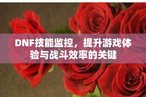 DNF技能监控，提升游戏体验与战斗效率的关键