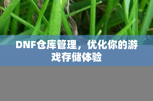 DNF仓库管理,优化你的游戏存储体验 DNF仓库管理,优化你的游戏存储体验