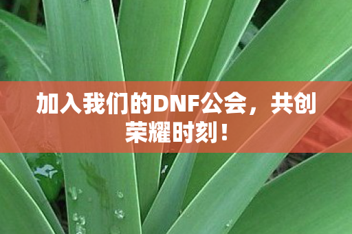 加入我们的DNF公会，共创荣耀时刻！