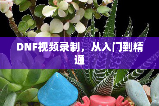 DNF视频录制，从入门到精通