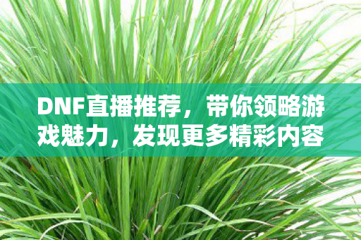 DNF直播推荐，带你领略游戏魅力，发现更多精彩内容
